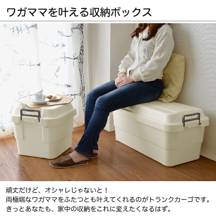 収納ケース RISUトランクカーゴ TC-20 キャンプ アウトドア 座れる ...