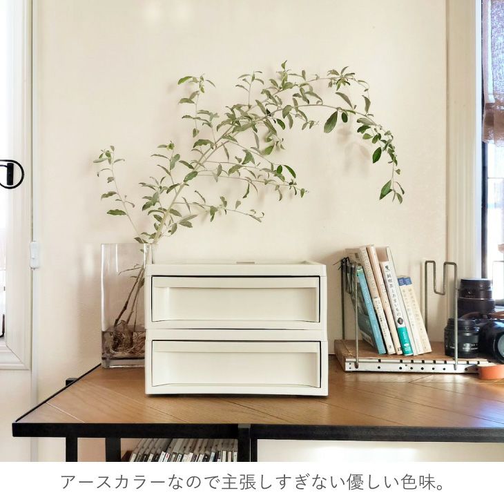 Evergreen Timberflash Jr. 2個セット Evergreen Timberflash Jr. 2個セット