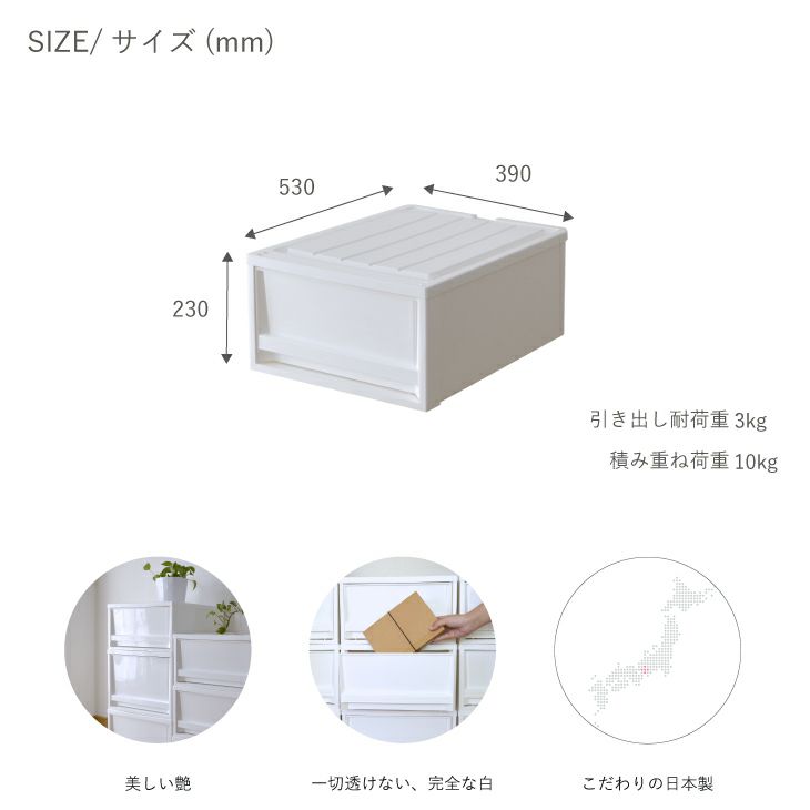 エーデルケースのサイズ